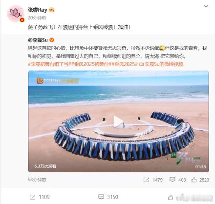 张睿为李晟打call张睿为李晟浪姐打call 最新微博动态：燕子勇敢飞！在浪姐的