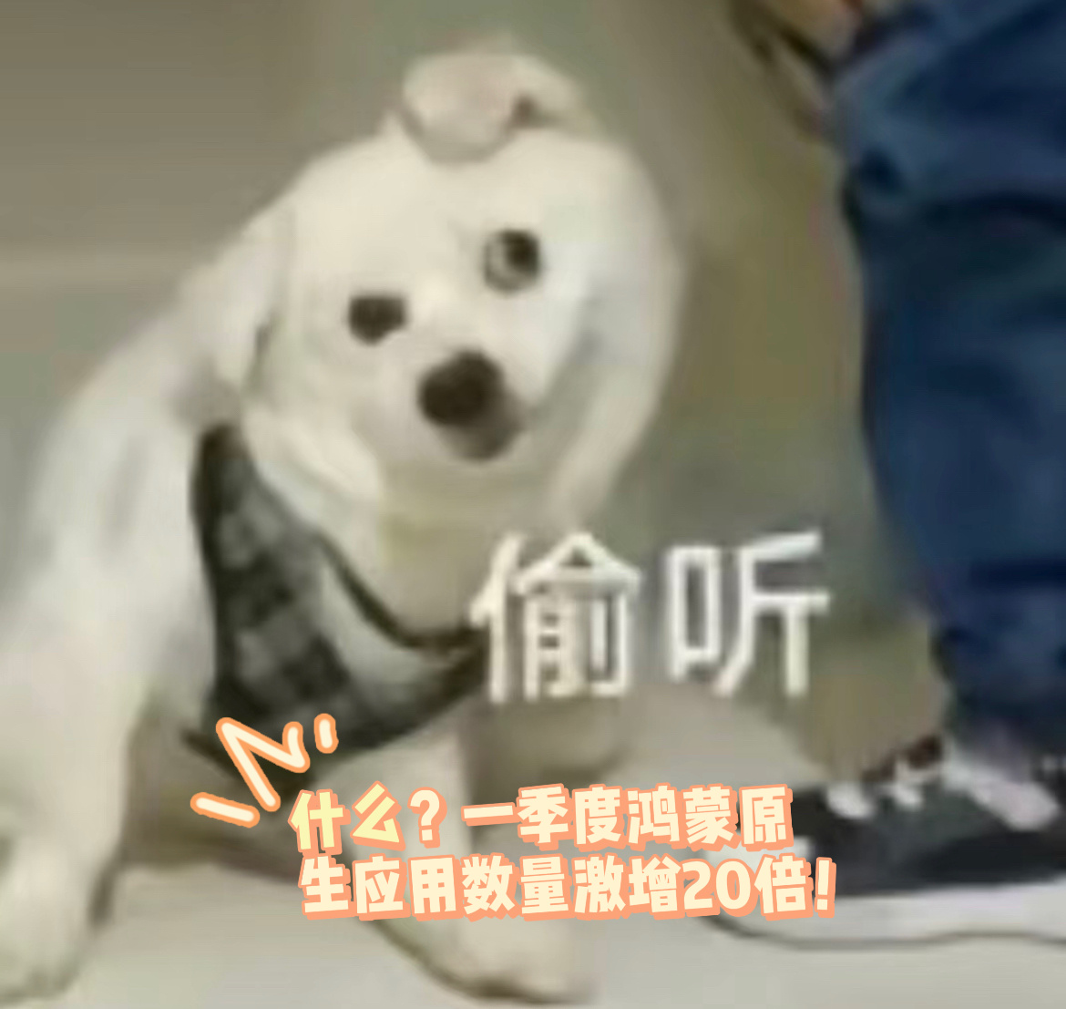 鸿蒙加速中！这不，#一季度鸿蒙原生应用数量激增20倍# ，已有超4000个应用加