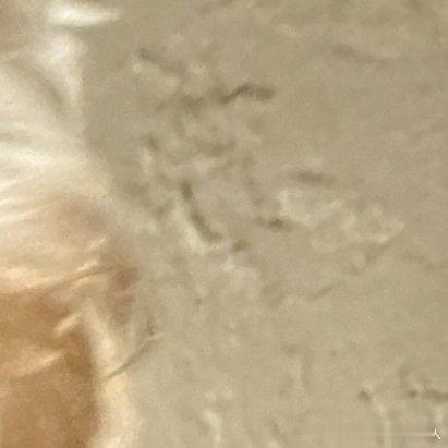 每日一善每日一善阳光信用日行一善每日一善 你好一起保护大自然与社会携手做公益关爱