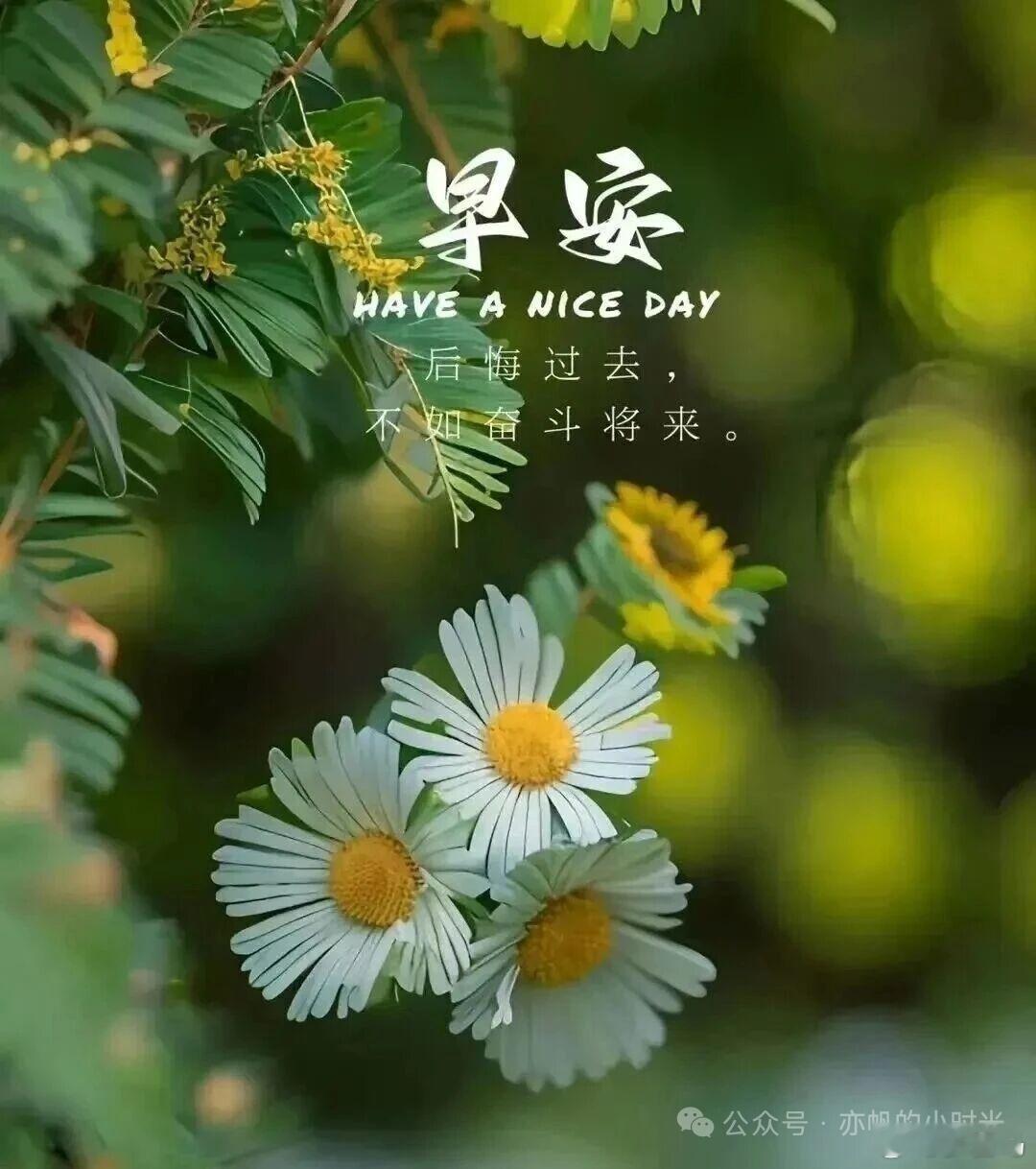 我们常常困惑于，自己到底想要什么，每天脑海里都会冒出很多念头，那些不灭的才叫做热