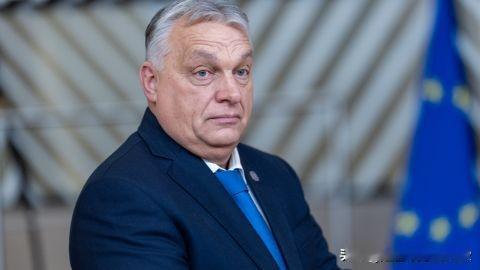 威权退潮：欧尔班在选举期间，支持率跌至低迷水平


匈牙利总理欧尔班所属政党的评