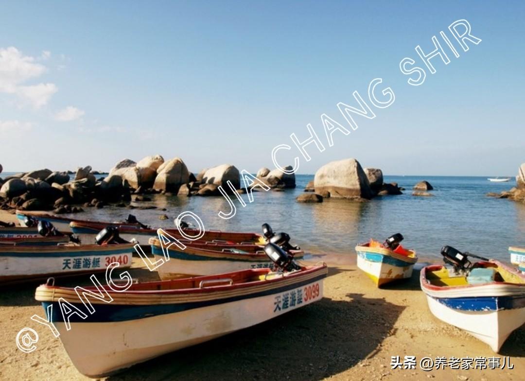 这帮老头，聊个海南封关，都能聊的热火朝天

小区里的闲散老头，凑一起就没有他们不