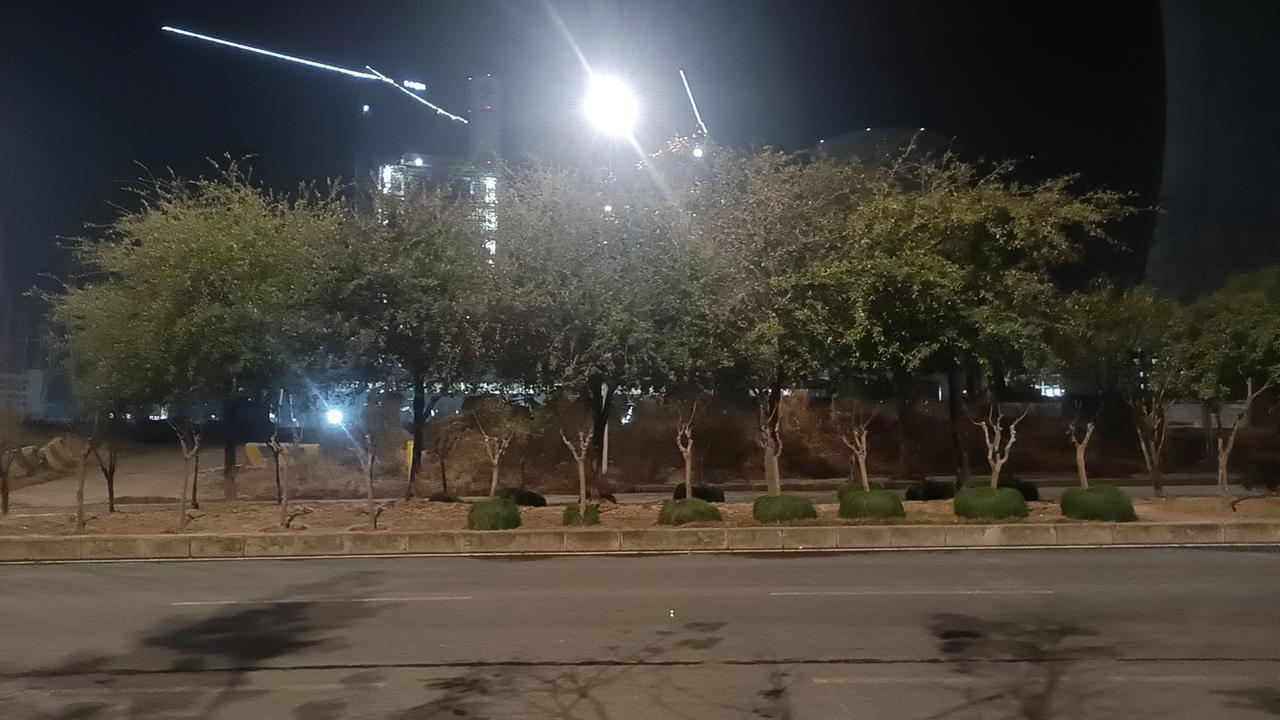 每年的这个季节，总会带来一种特别的感受——寒冷、寂静，却也悄然孕育着温暖与希望。