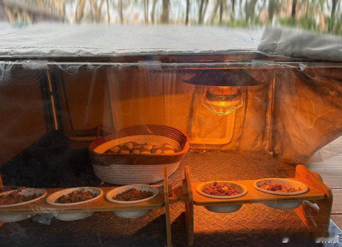 姚晨给流浪猫棚装保温灯 1月25日，发文分享：“还是菁菁博士有办法，找到这款省电