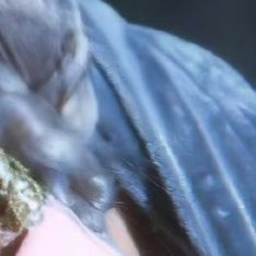 兔沢千岛 .世界上的事情最忌讳的就是个十全十美，你看那天上的月亮，一旦圆满了，马