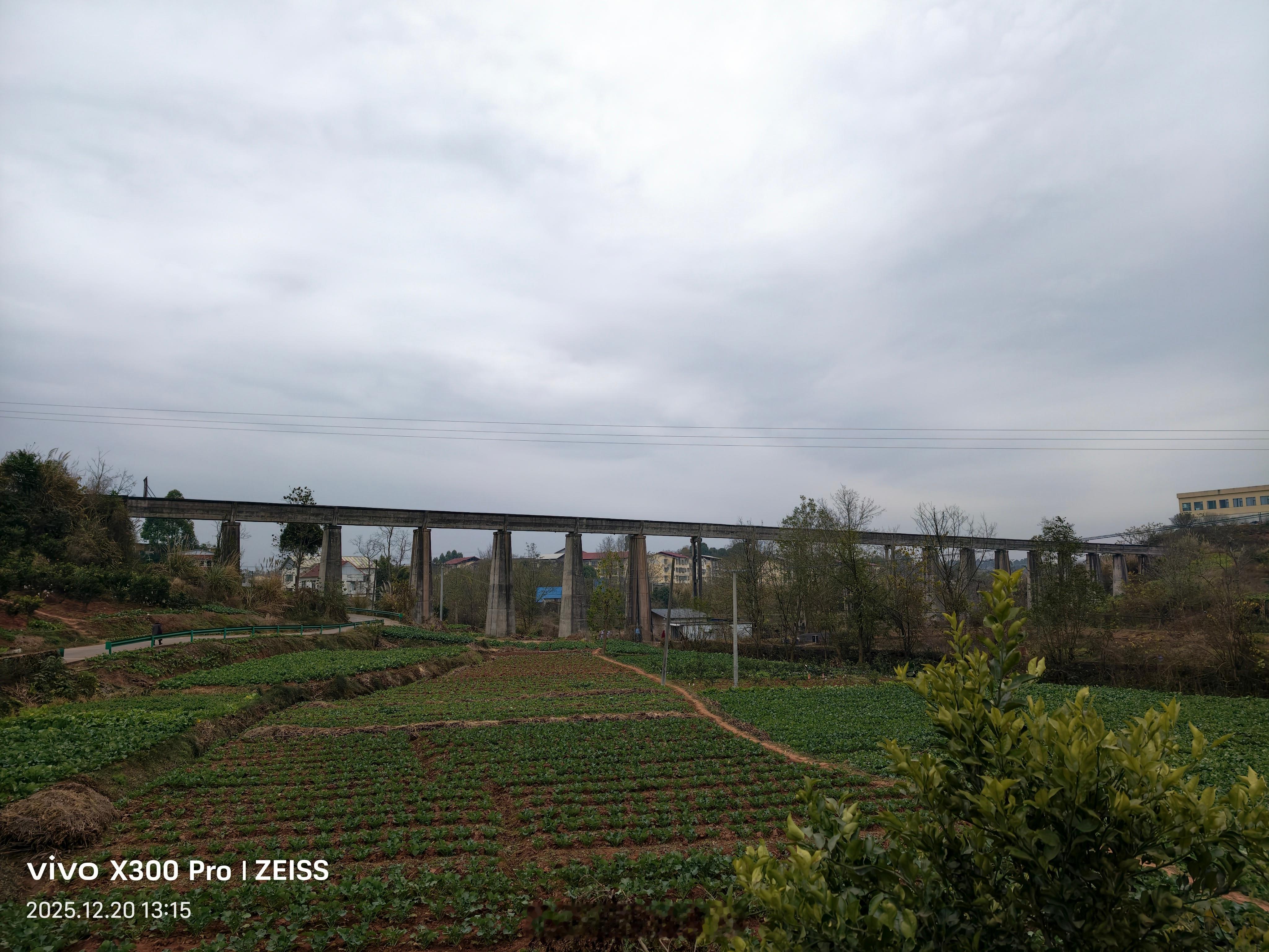 昨天，在国企工作的堂姐说想到乡村生活，清净，环境好，空气好。我说你这是浪漫乐观主