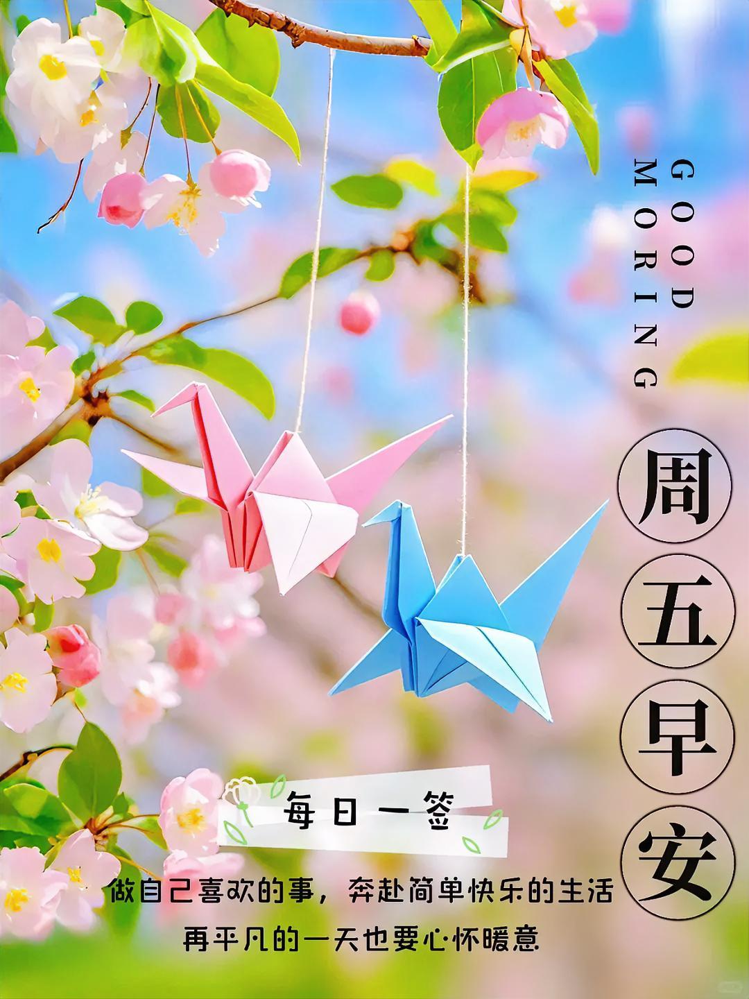 周五早安！挂千纸鹤于夏日，做喜欢之事，奔赴简单快乐的生活。
每日一图随手拍