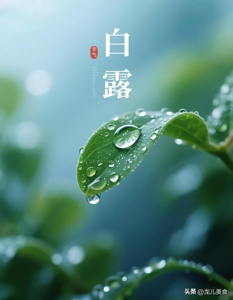 “白天白露，热死牛；夜晚白露，把扇丢”，今年白露在几点？
 
时序流转，夏日的燥