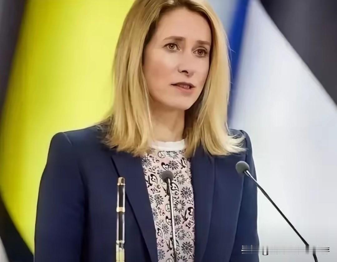 爱沙尼亚的“代表处”闹剧：承诺两年未兑现，背后是立陶宛的前车之鉴

2023年，