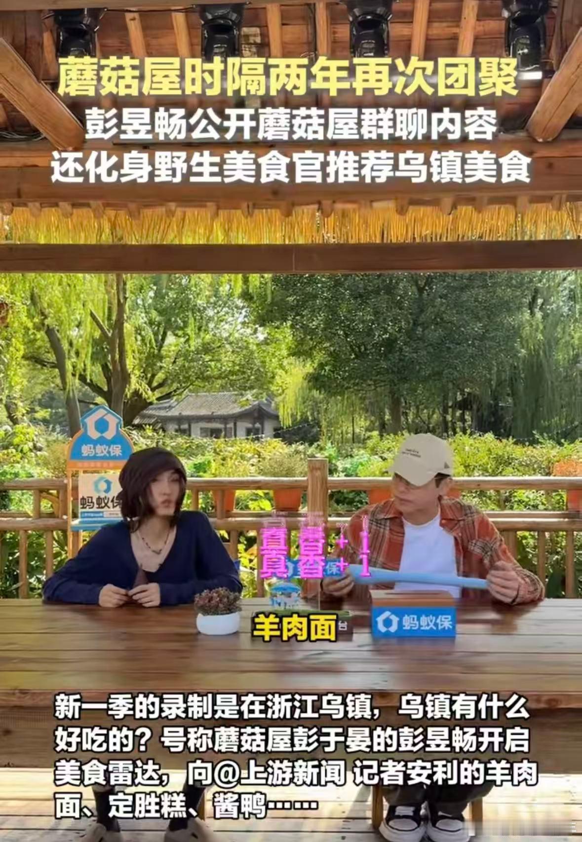 彭昱畅化身乌镇美食活地图向往的生活 两年后蘑菇屋再次相聚，张子枫和彭昱畅说大家在