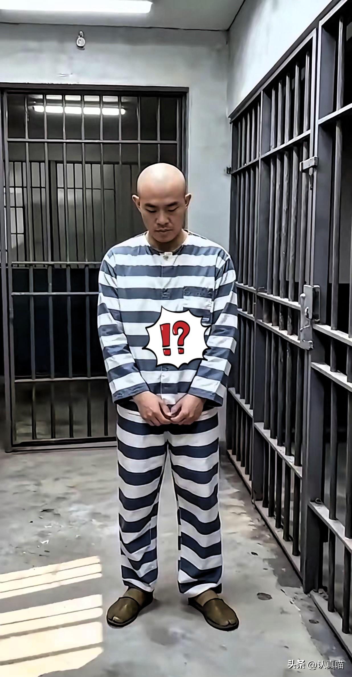 别再说什么“墙倒众人推”，
金家的结局从来不是意外，而是娇纵教育埋下的必然炸弹！