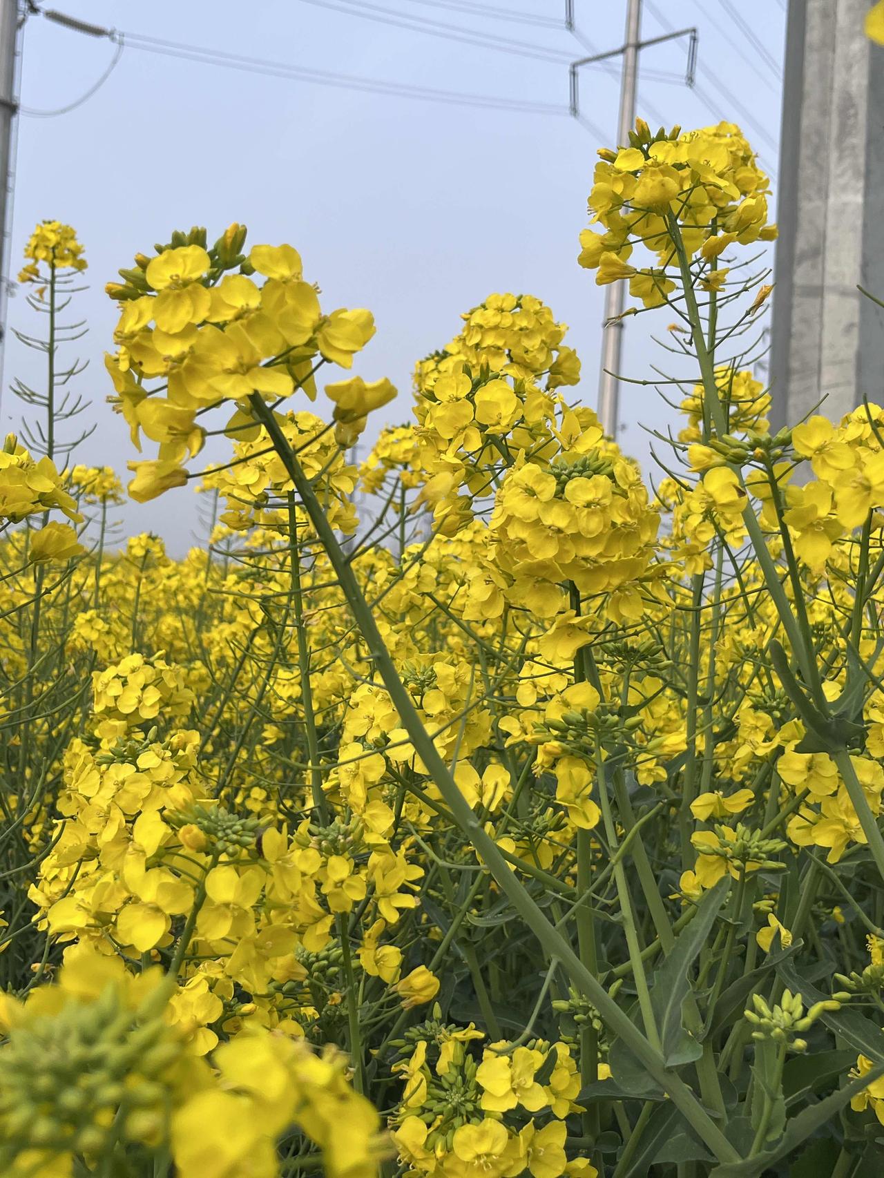 今天、明天、后天，到底哪一天最重要？

很多人总在纠结明天怎么规划，后悔昨天没做