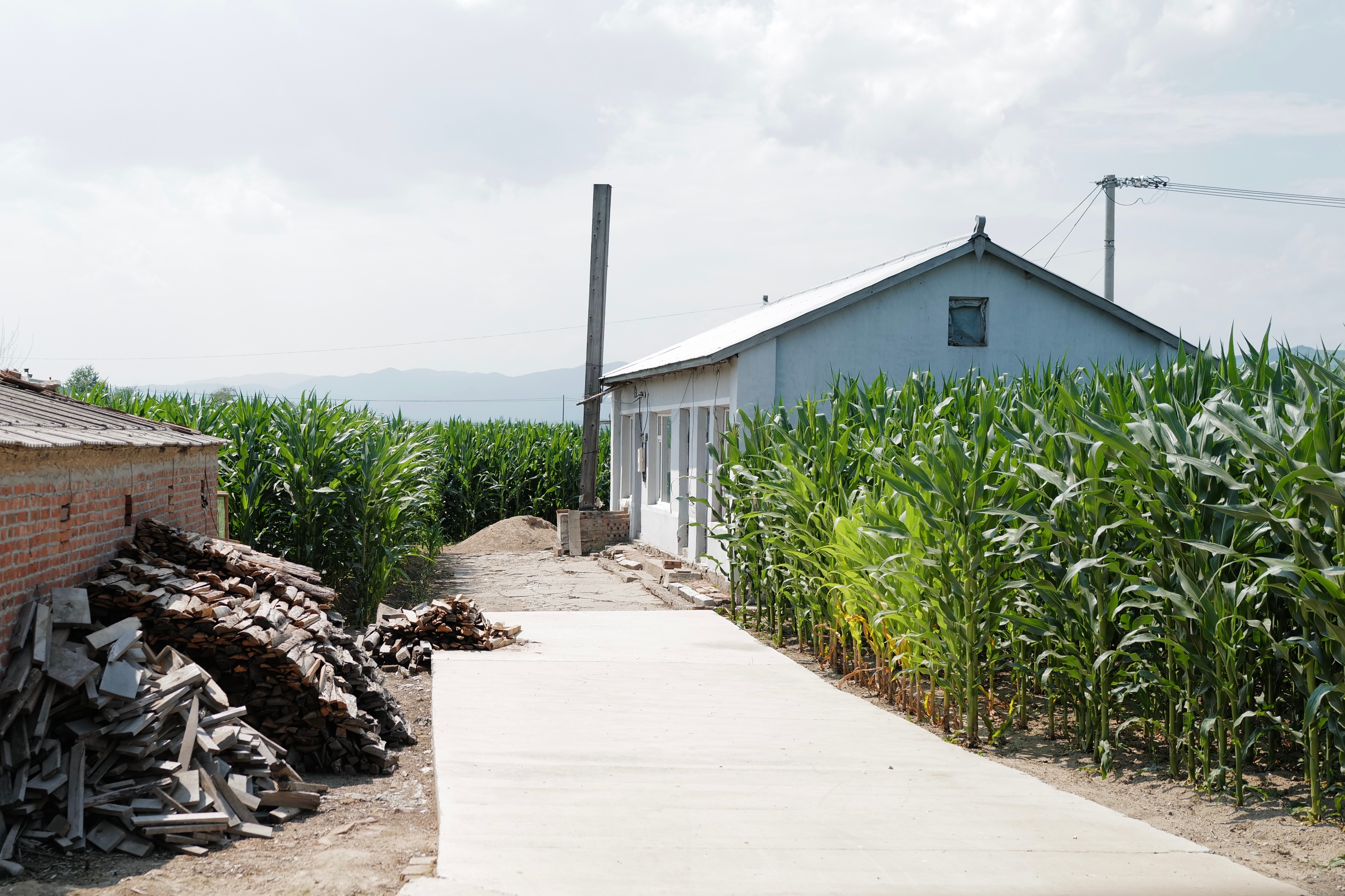 日头最烈的时候误打误撞开到了边境线，图们江此岸与彼岸都没有声音。 ​​​