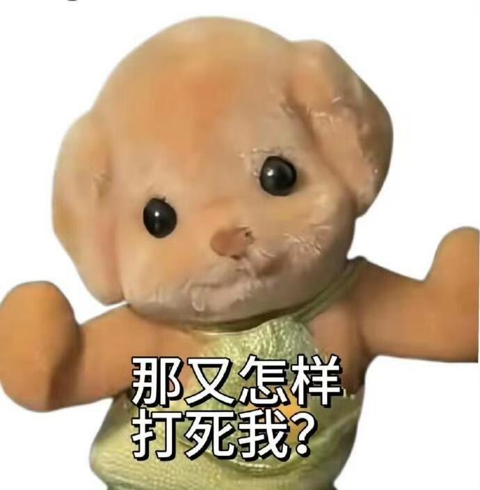 没有挂黑朵姐的义务，无条件拥护所有姐粉