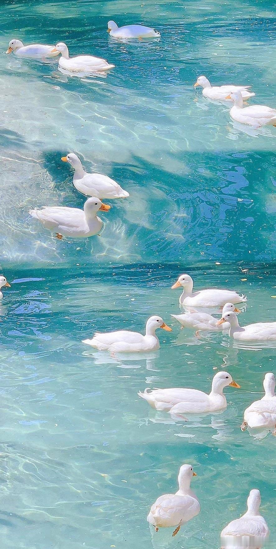 水瓶座♒固然是热爱美好，固然是渴望和谐，可终究，她们有一点从来都是无法改变，那便