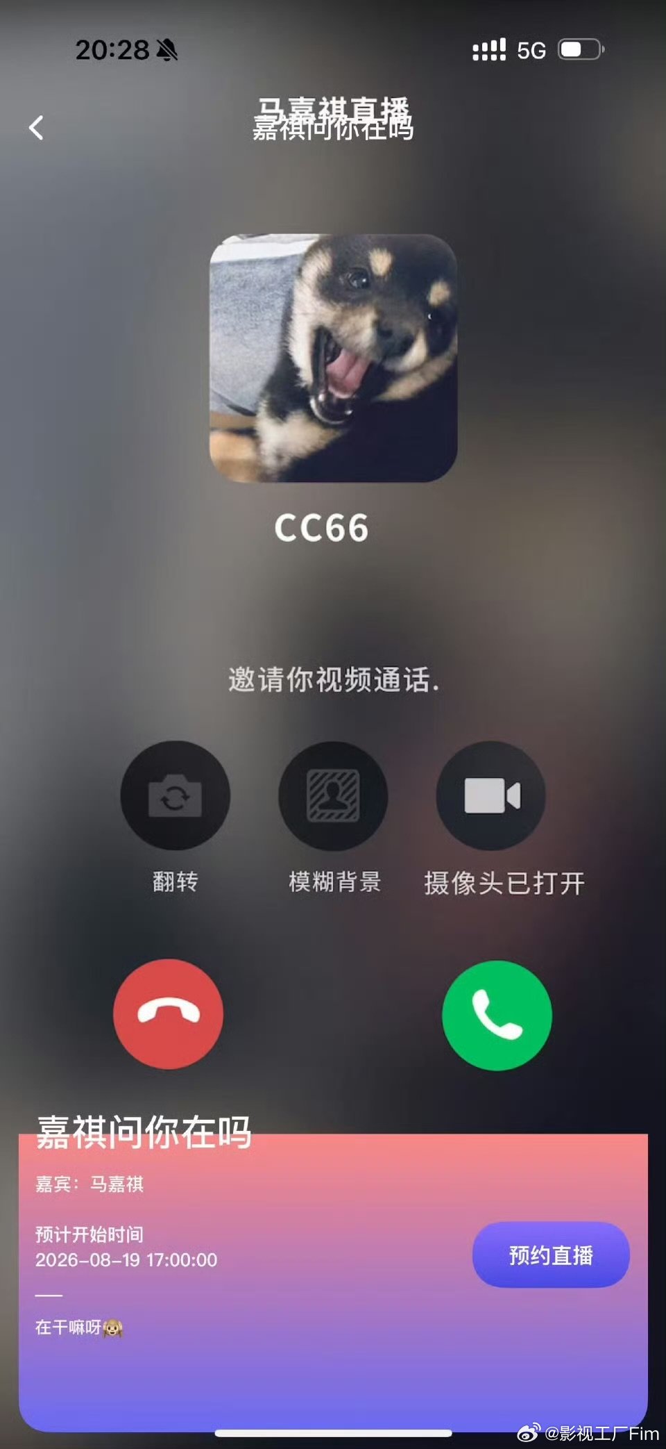 马嘉祺七夕直播马嘉祺七夕高会直播 cc66好宠 