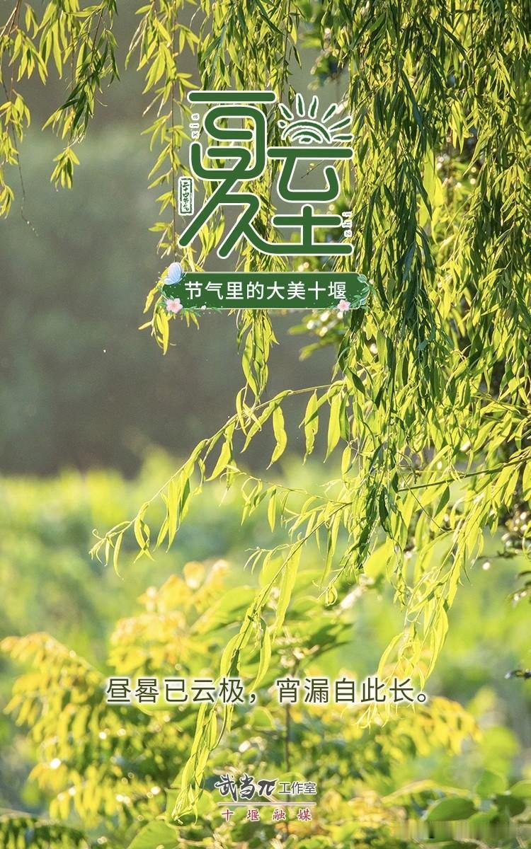 6月21日，我们迎来二十四节气中的夏至。这一天太阳直射北回归线，北半球迎来全年白