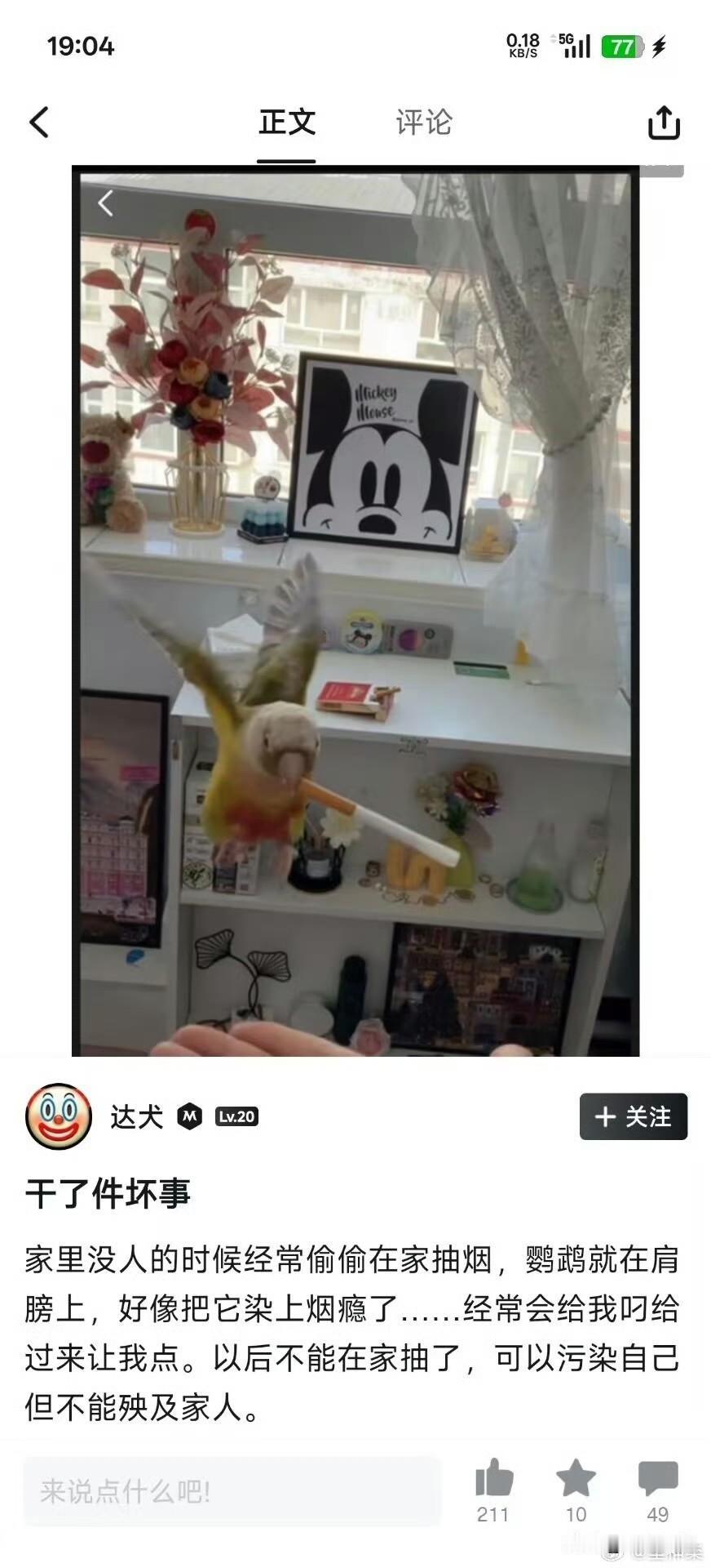 鹦鹉：来一根？