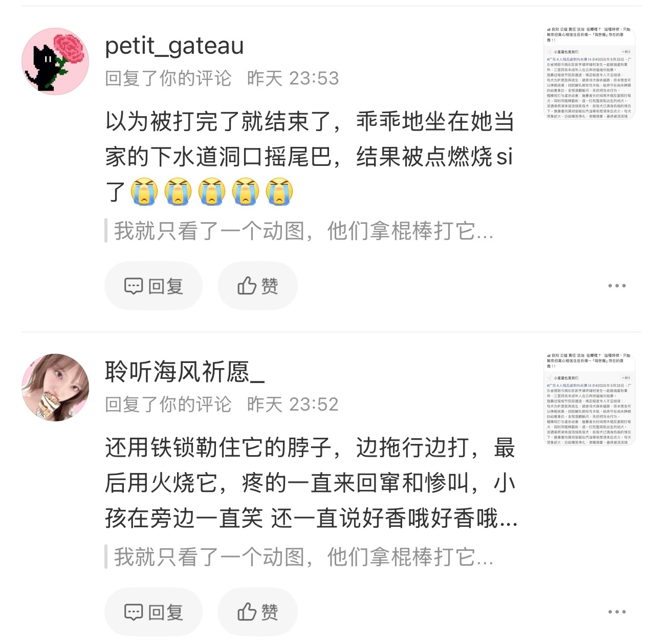 内娱请把古偶还给少男少女广东揭阳重大虐s小狗事件，视频文字描述，占用热搜发声 ，