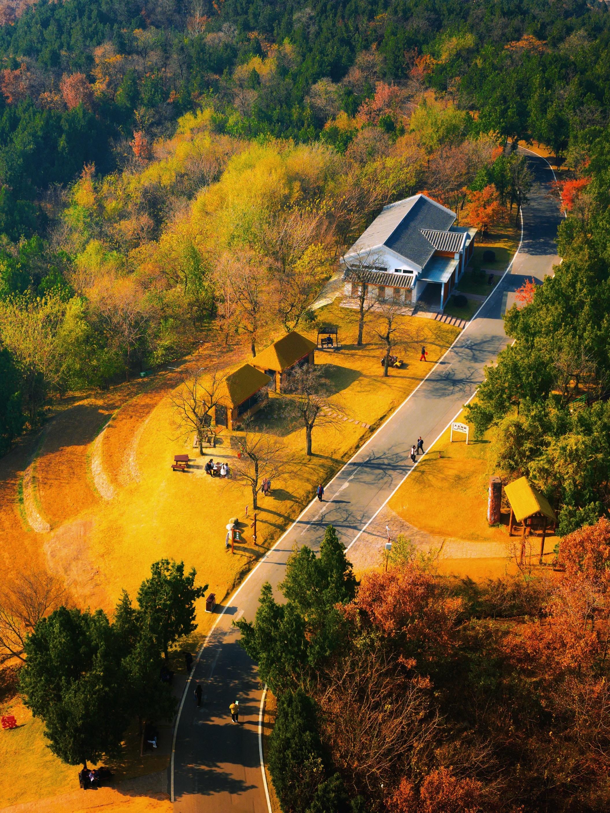 朋友圈被问爆了❗️徐州古镇的鎏金现实版梦。谁说秋景只有南京？ 徐州新沂...