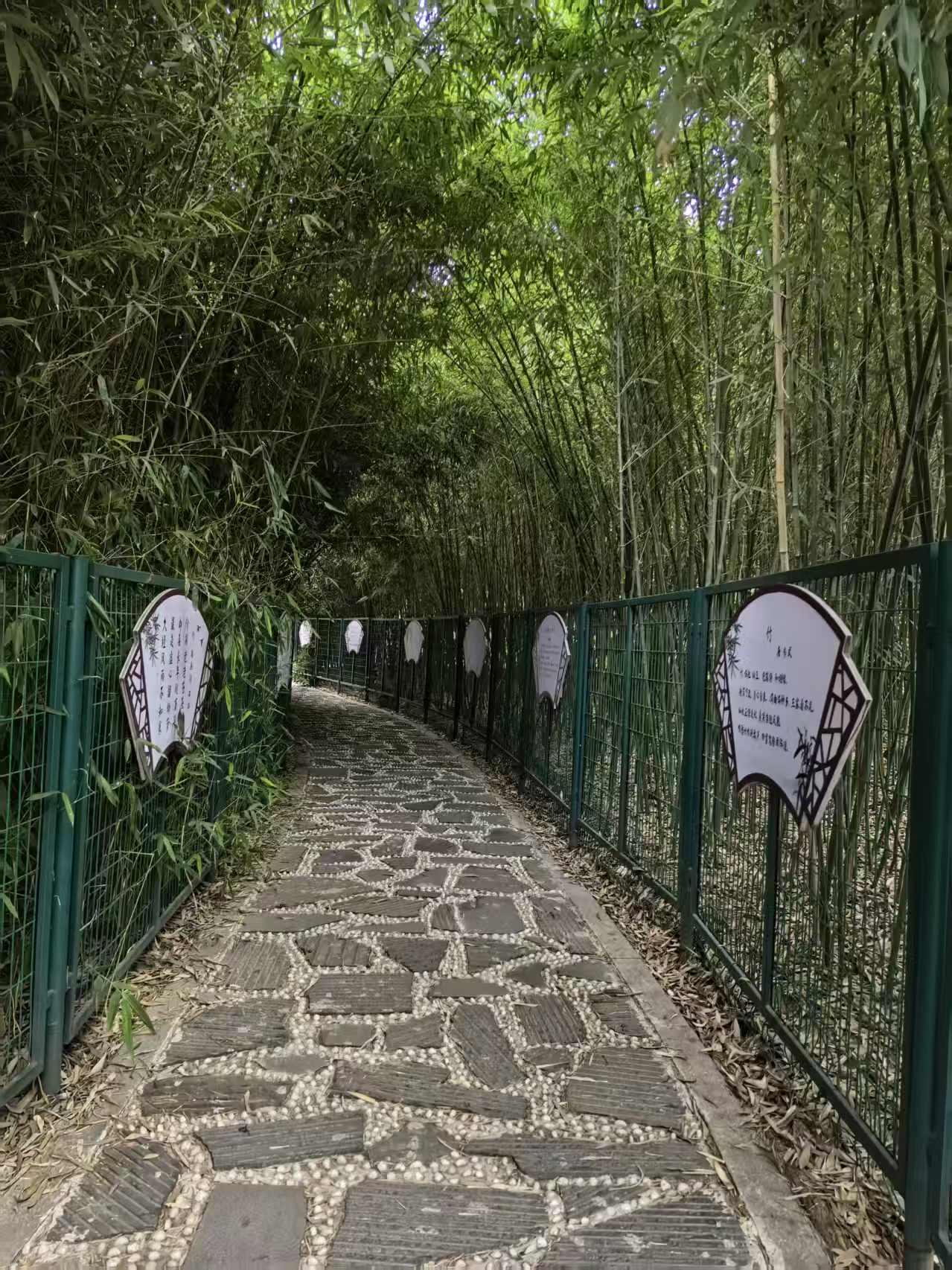 《读竹径》

作者：王景武

曲径通幽又一景，
月季公园读竹径。
繁竹挺直人共识
