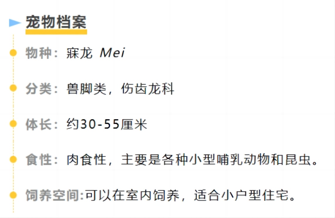 #你的桌面恐龙博物馆# 第十六课 寐龙（一） Mei 如果您是一位有经验的恐龙铲