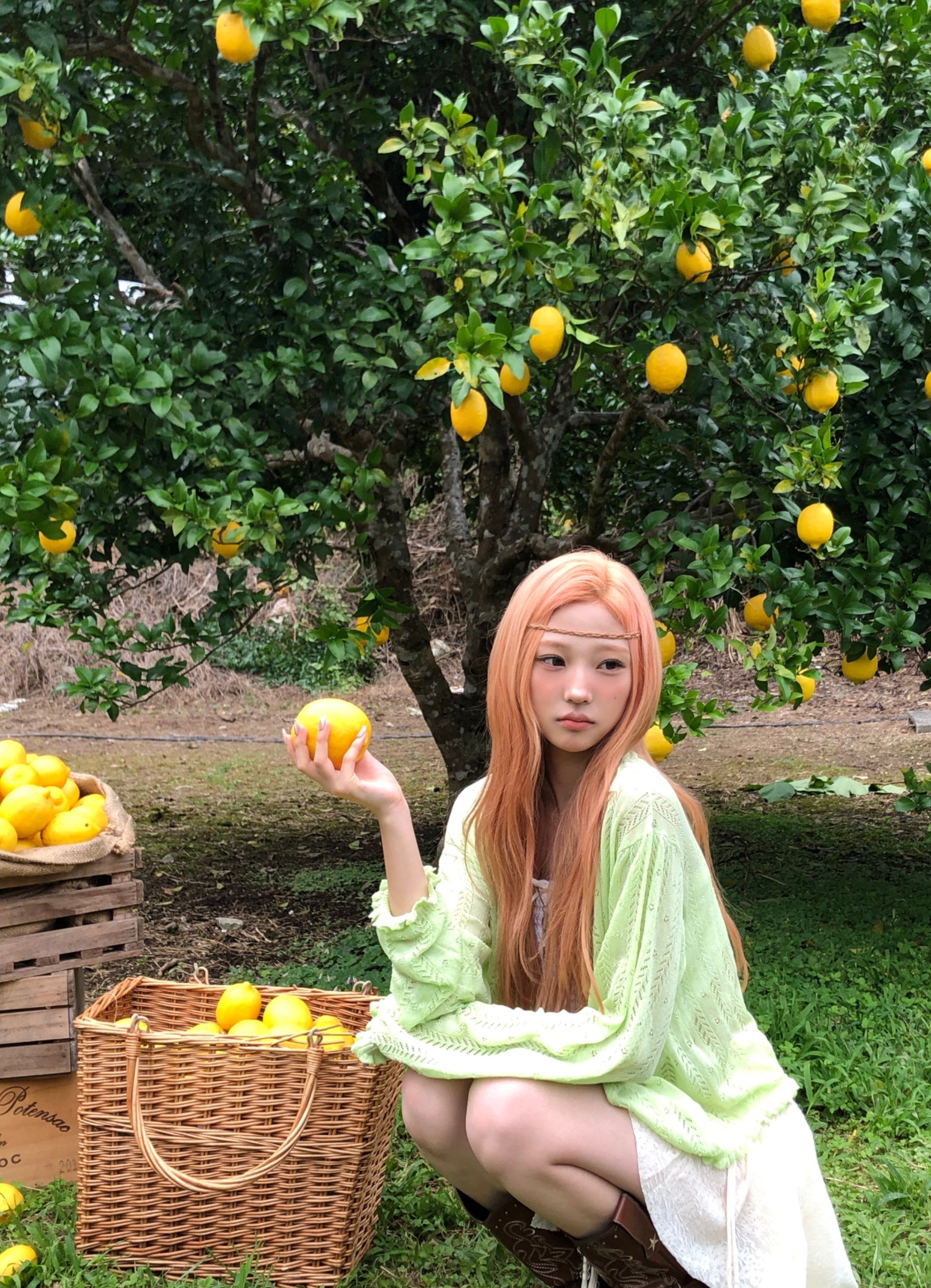 Hearts2Hearts STELLA🍋🌿 