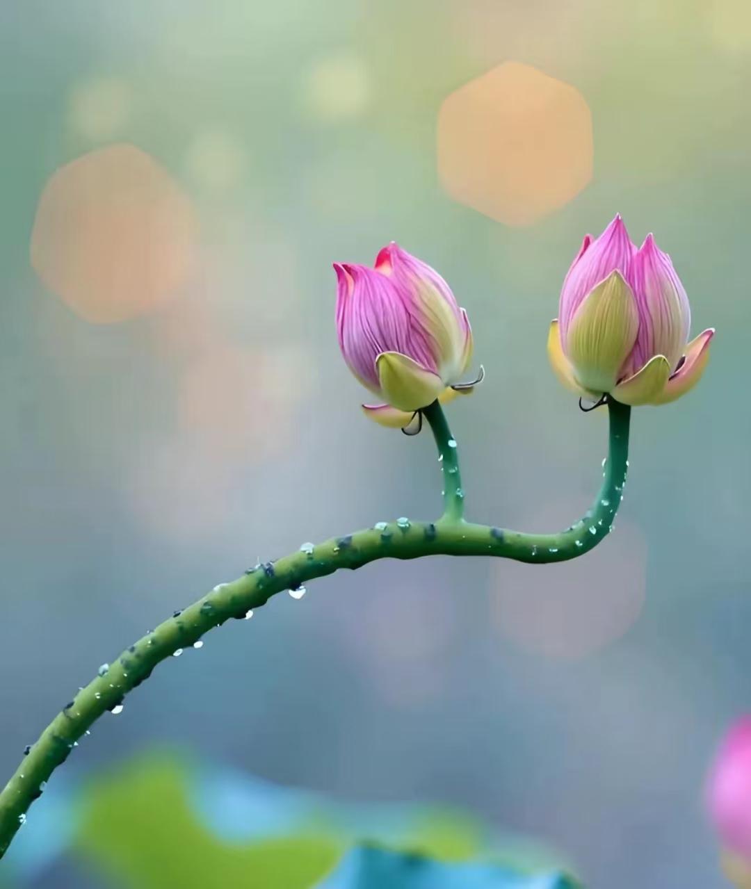 突然发现，我和老伴生活中的很多话，都是妥妥的“废话”：

1、每天出门上班前，都