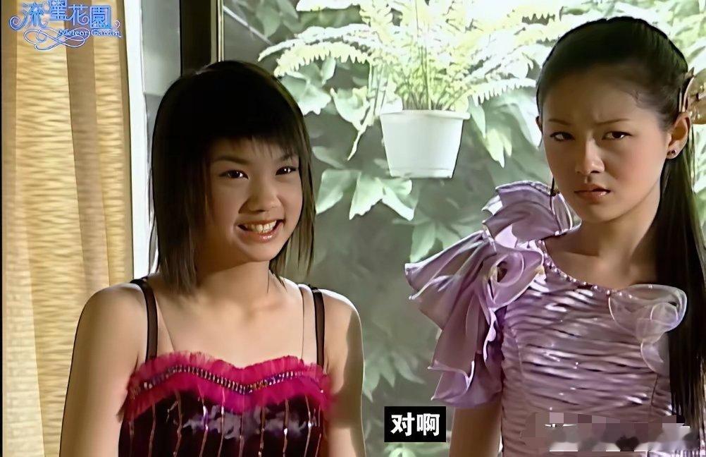 杨丞琳以前竟然长这样？我差点都没看出来，和大s一起拍的剧当年也非常火，不过话说回