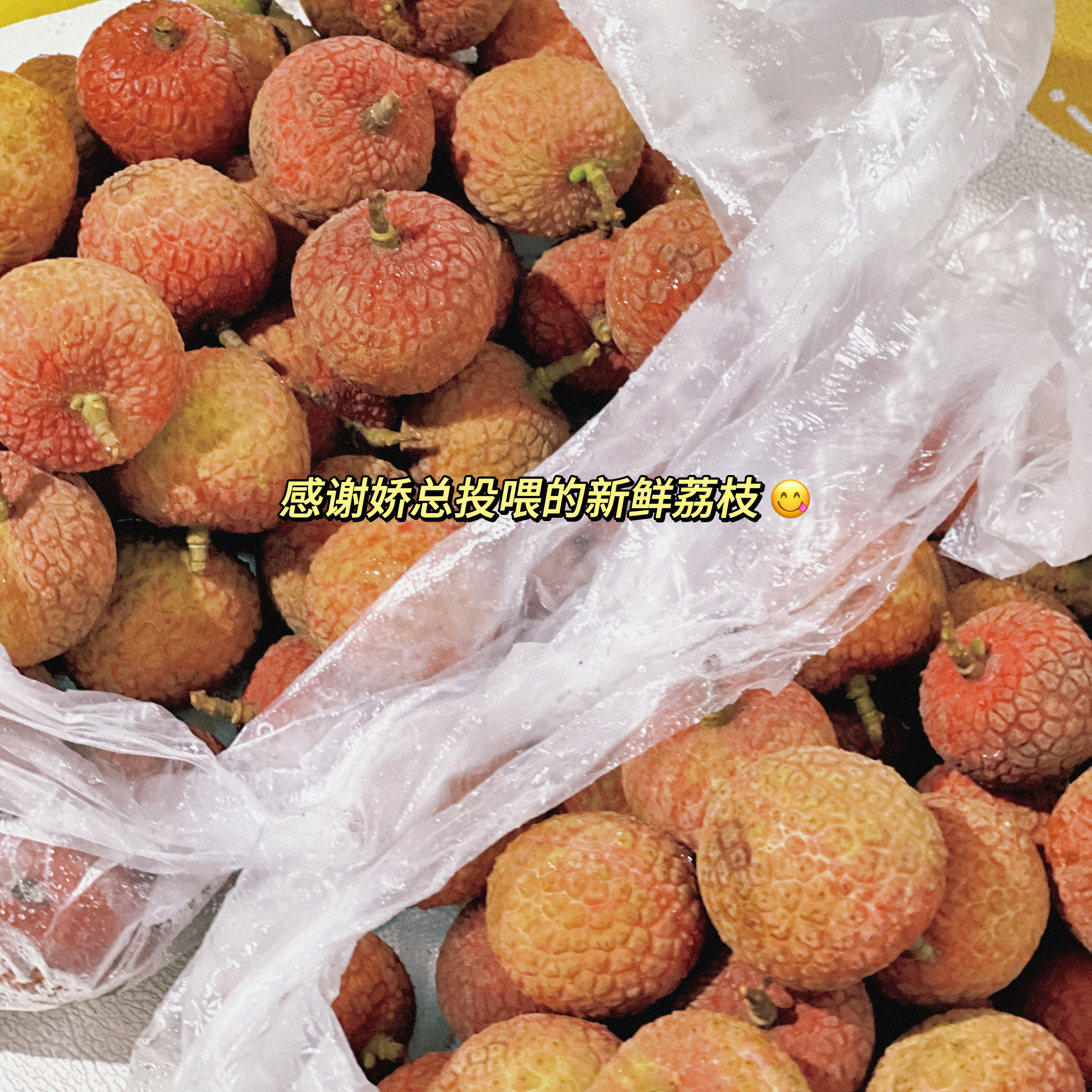 慢慢理解世界，慢慢更新自己～ 