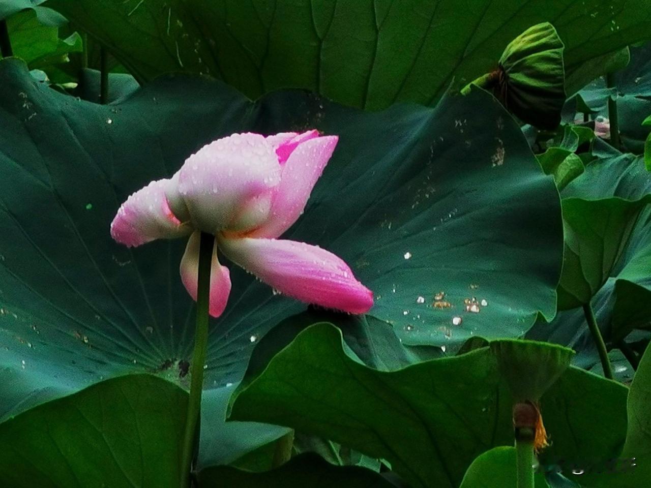 秋日生活打卡季