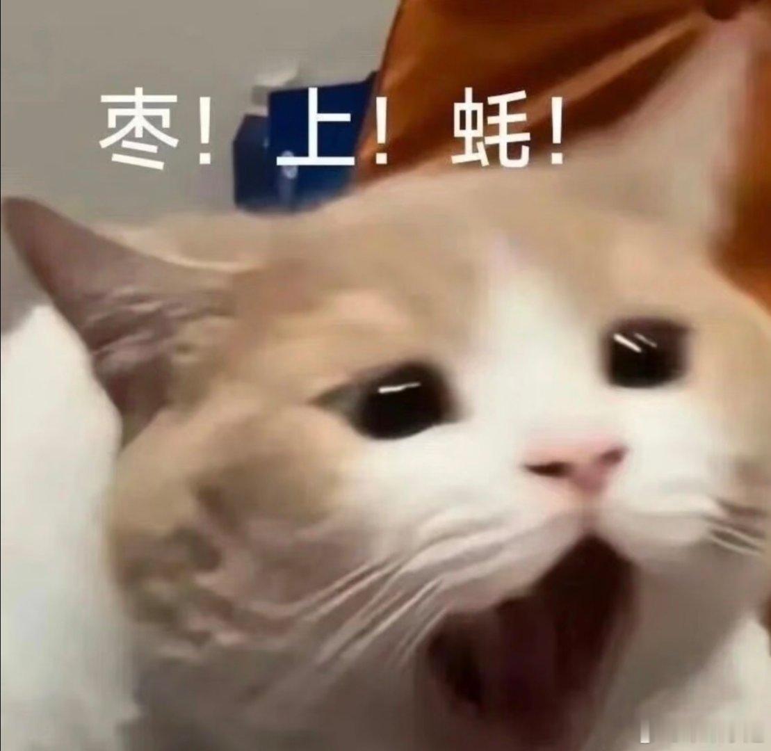 每日表情包分享。 