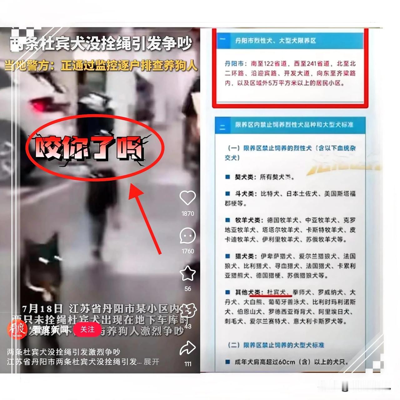 两只杜宾犬街头吓人的事，
总算有了点眉目——
狗主人找到了，但
一句“妥善处理”