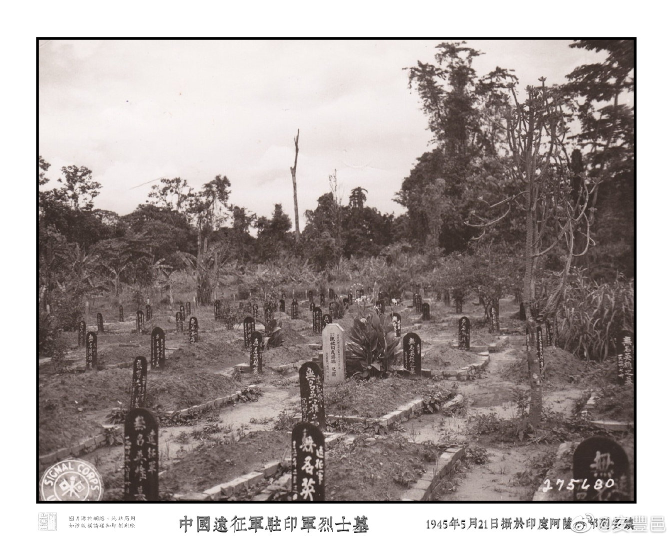 二戰中國遠征軍駐印軍烈士墓。拍攝於印度阿薩姆邦列多鎮，1945年5月21日。#歷