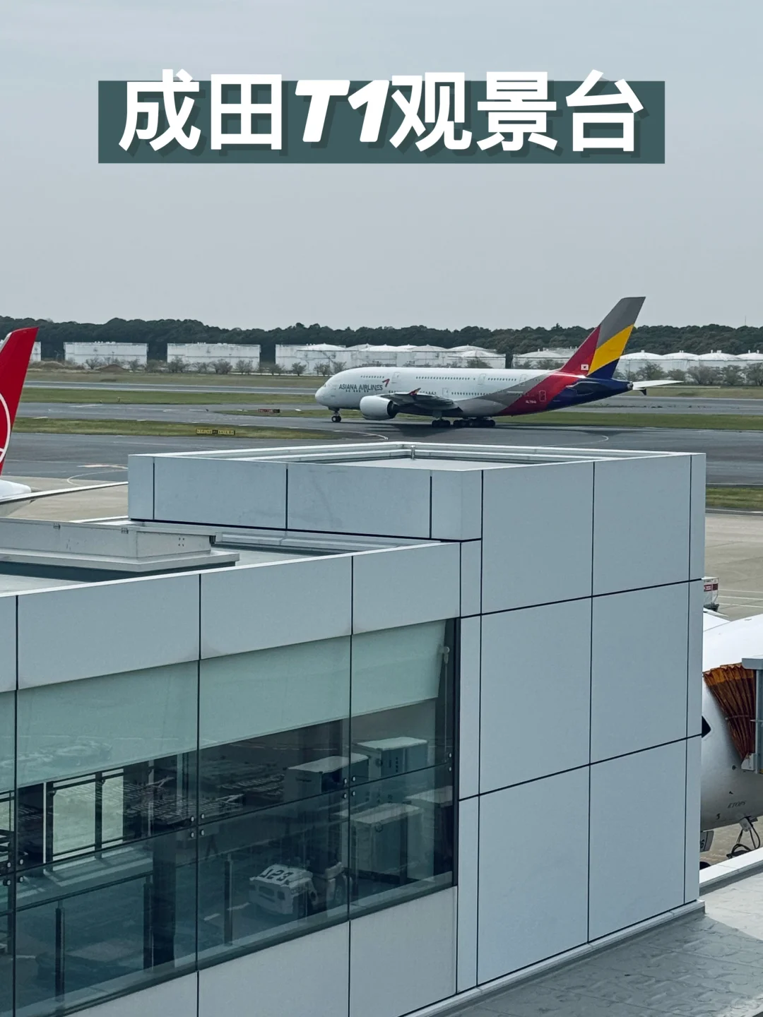 1篇看懂，东京成田机场T1观景台❗️