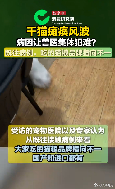 千猫瘫痪多地医院真相调查记者调查千猫瘫痪背后真相辟谣网传猫粮致瘫误区，临床接诊的