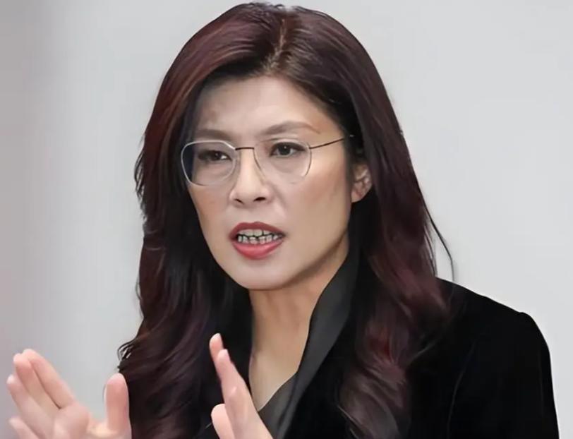 就在刚刚

5月26日，针对马英九基金会风波不断，郑丽文接受访问时表示：希望这件