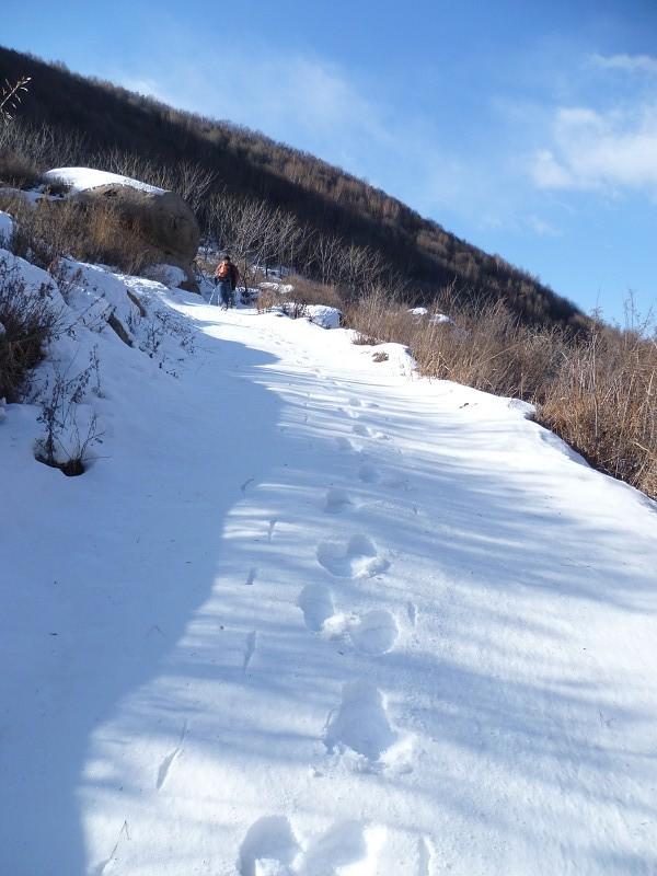 阿富汗与巴基斯坦开战了？
2 月 21 日巴方跨境空袭引发连锁反应，26 日夜间