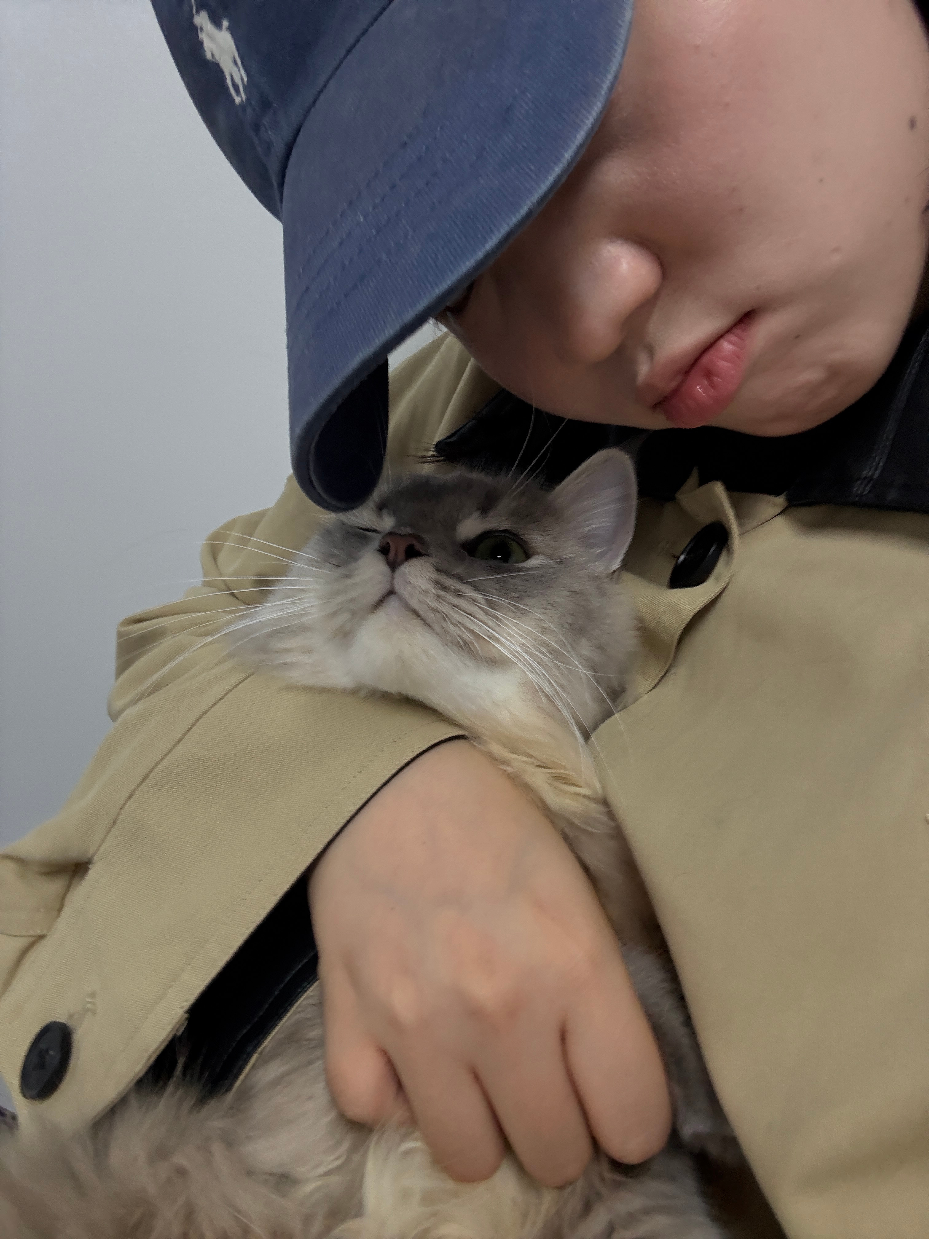 灰灰啊 我也想睡觉 ​​​