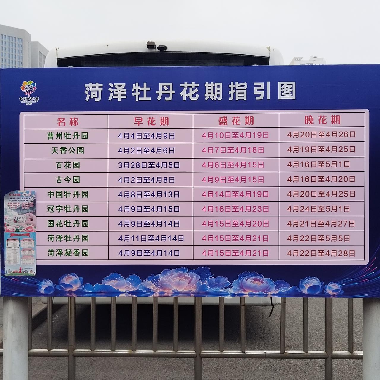 真是佩服菏泽人能把一朵牡丹花弄成“花”来！一朵普通的牡丹花让菏泽人吹的名扬天下，