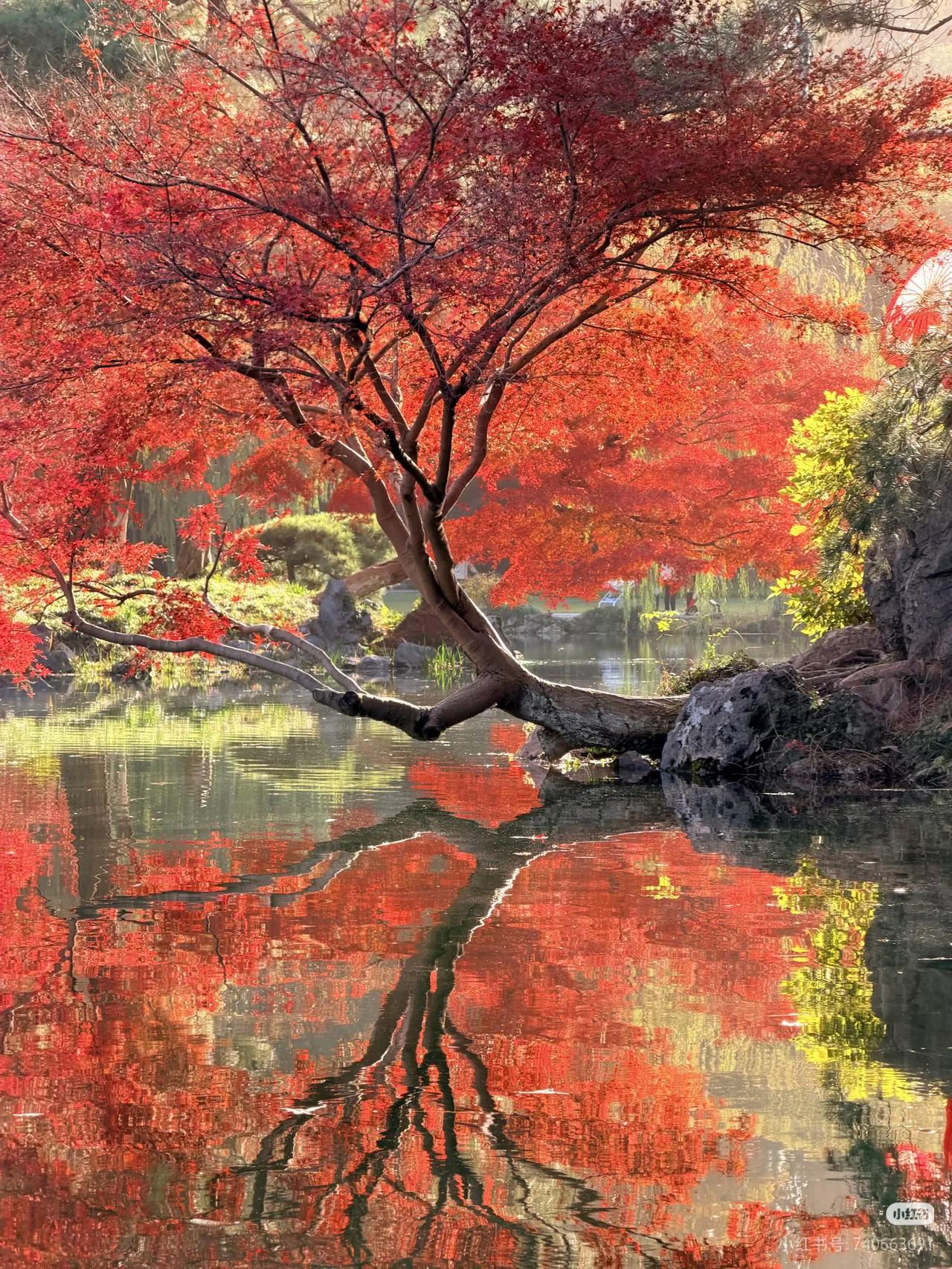 接下来的杭州，堪称国内旅行天花板‼️
一直痴迷于大自然的秋天🍂
立秋一过，杭州