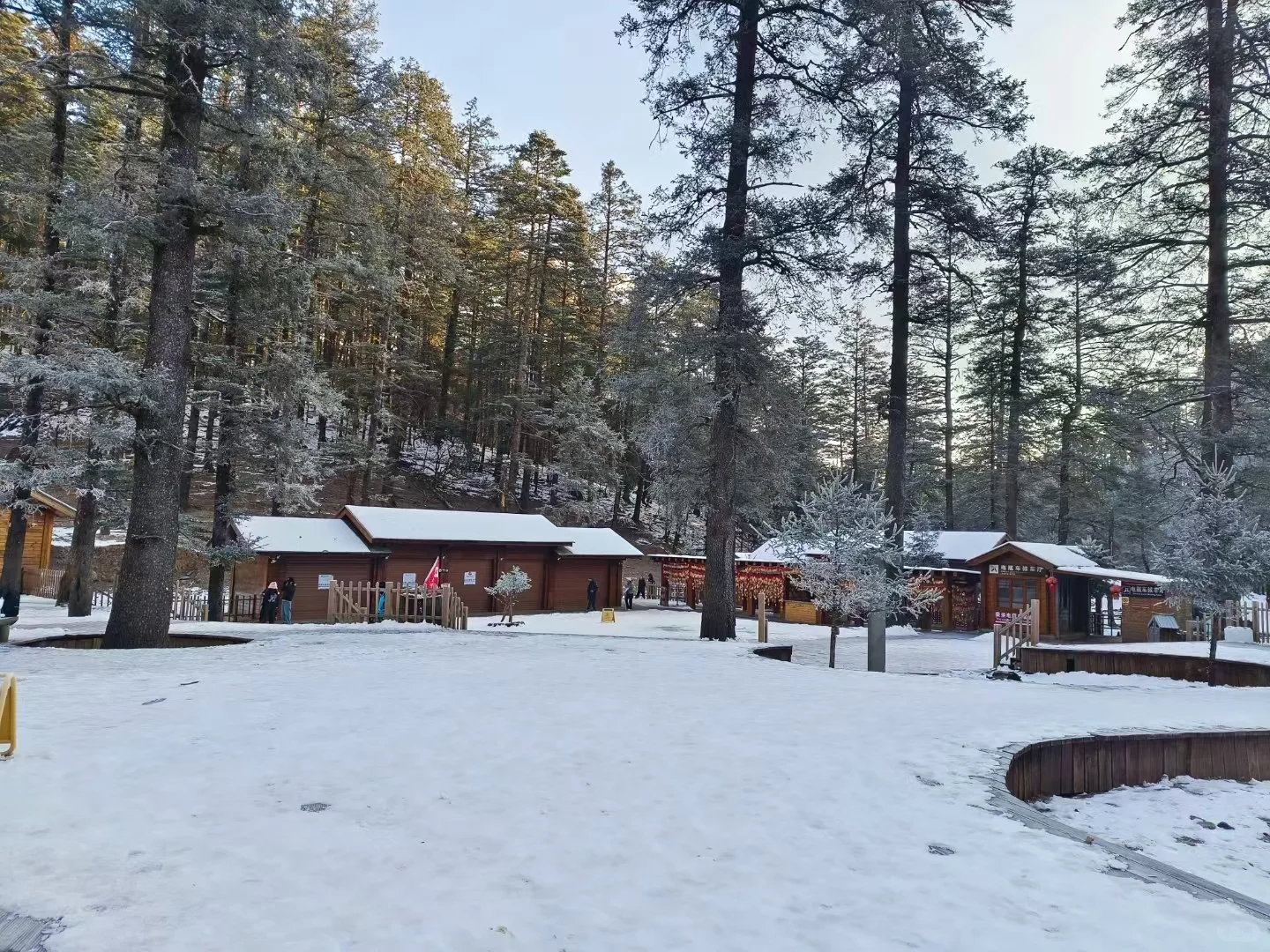 关于玉龙雪山跟团，给大家提供几个建议