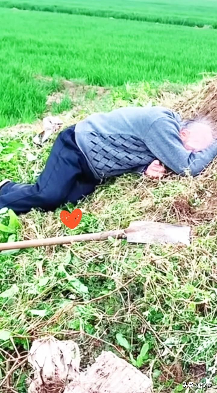 泪目！
年迈的父亲执意要去给母亲上坟，祭拜完后，直接趴在坟前失声痛
哭。网友纷纷