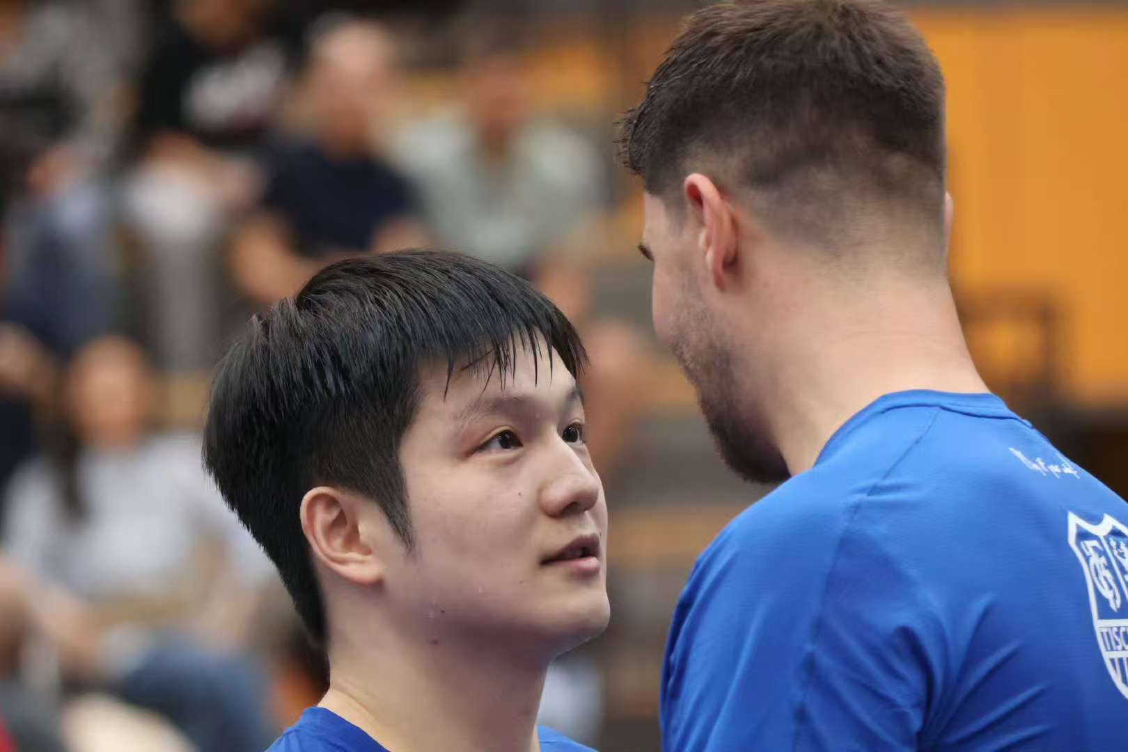 樊振东和他的异国兄长弗朗西斯卡 