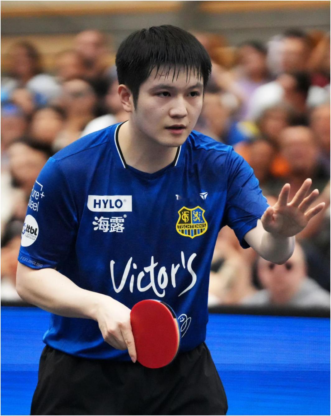 樊振东拿到两分，这是他到德国后最体现他价值的一场比赛。
第一盘：樊振东3-0轻松