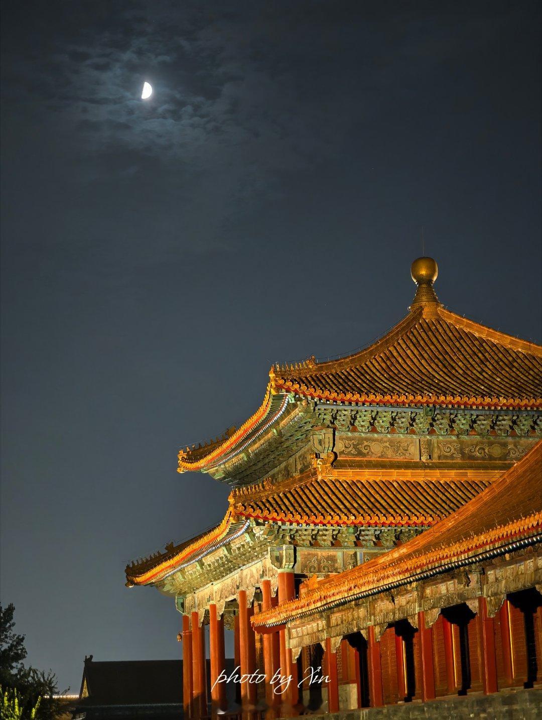 晚上的故宫和偶遇的宫猫故宫故宫[超话]老霍随便聊  ​​​