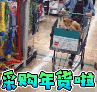 你们年货都买点什么啊？我一下子卡住了不知道买什么，鸡鸭鱼肉平时家里都有啊，有什么