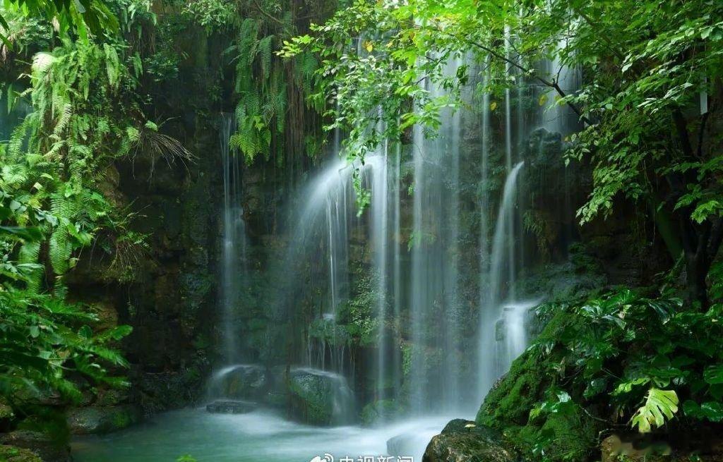 '  人生如水匆匆流逝不复返，岁月短哲莫让时光白白淌……早安 