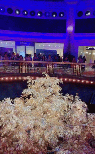 难怪人人都想要一片树叶，都是大机缘啊