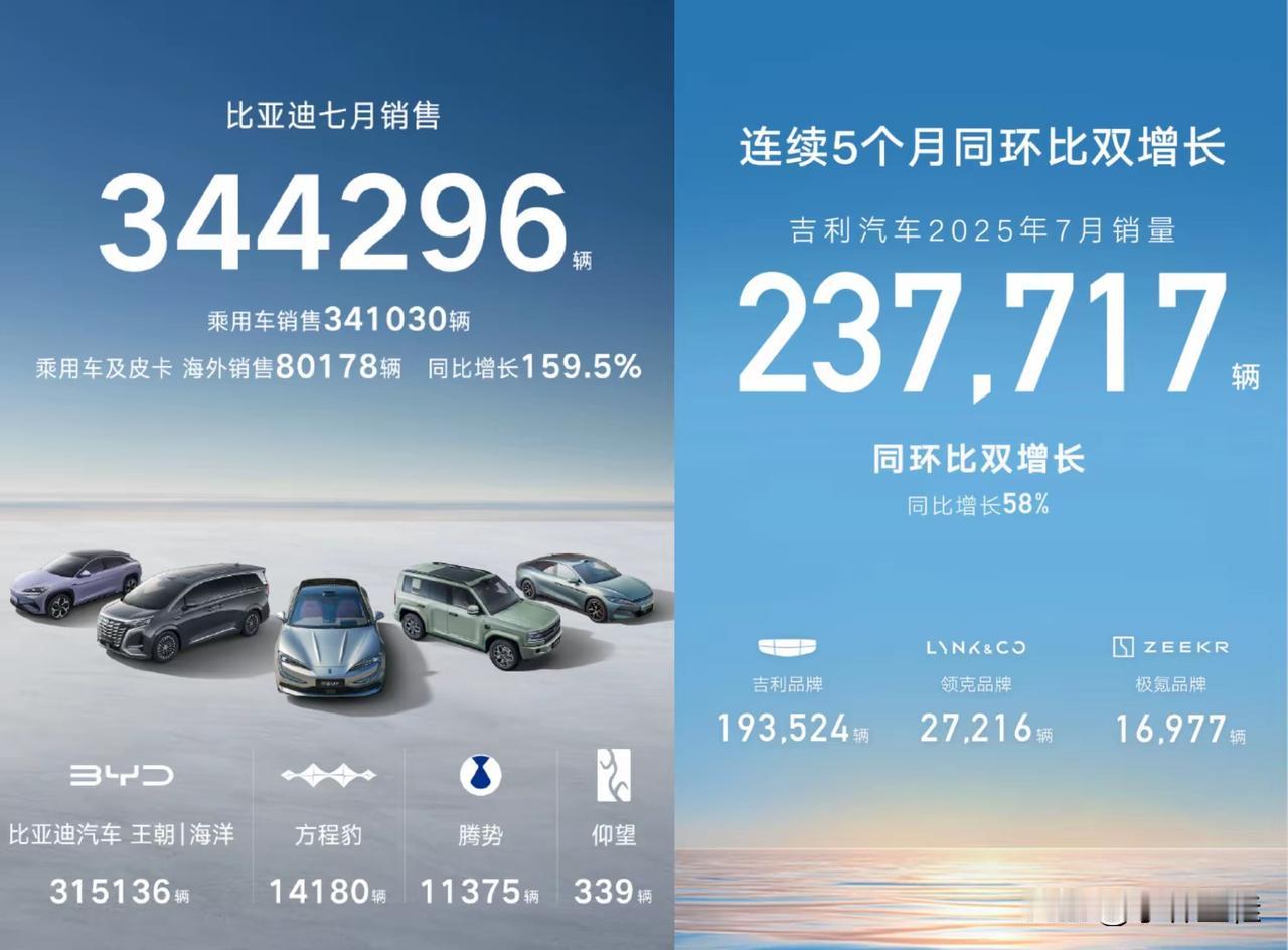 “偷子”始终只能是“偷子”！永远不可能成为主流！
最近凭着一款低价车开始走量了，